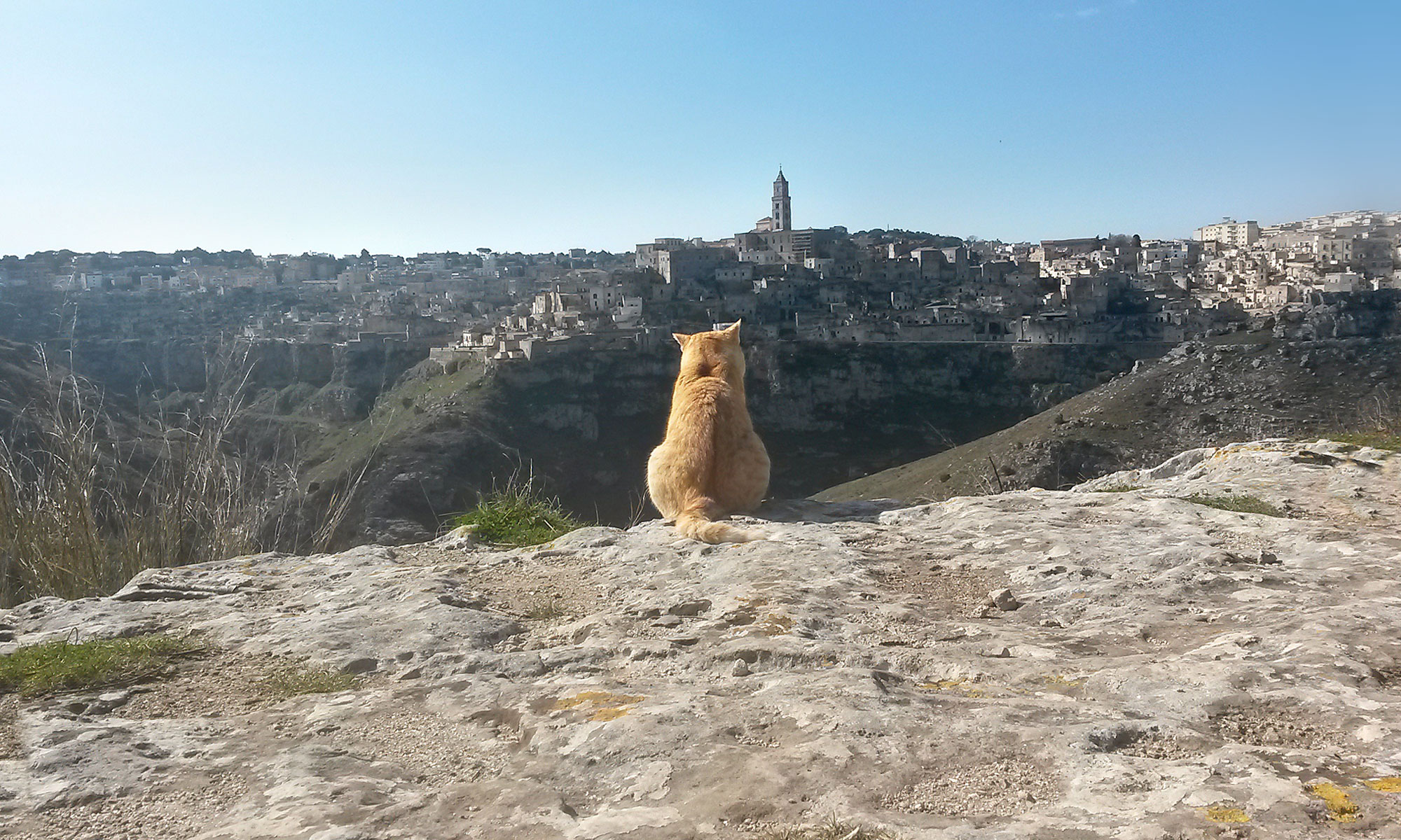 Uno sguardo sui Sassi